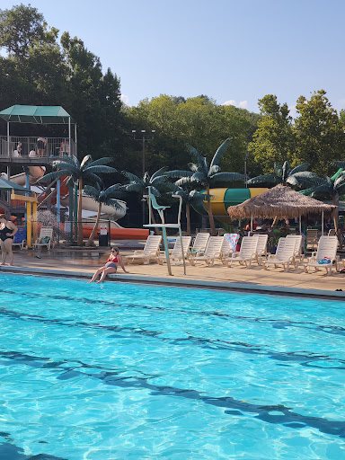Alma Aquatic Park Logo