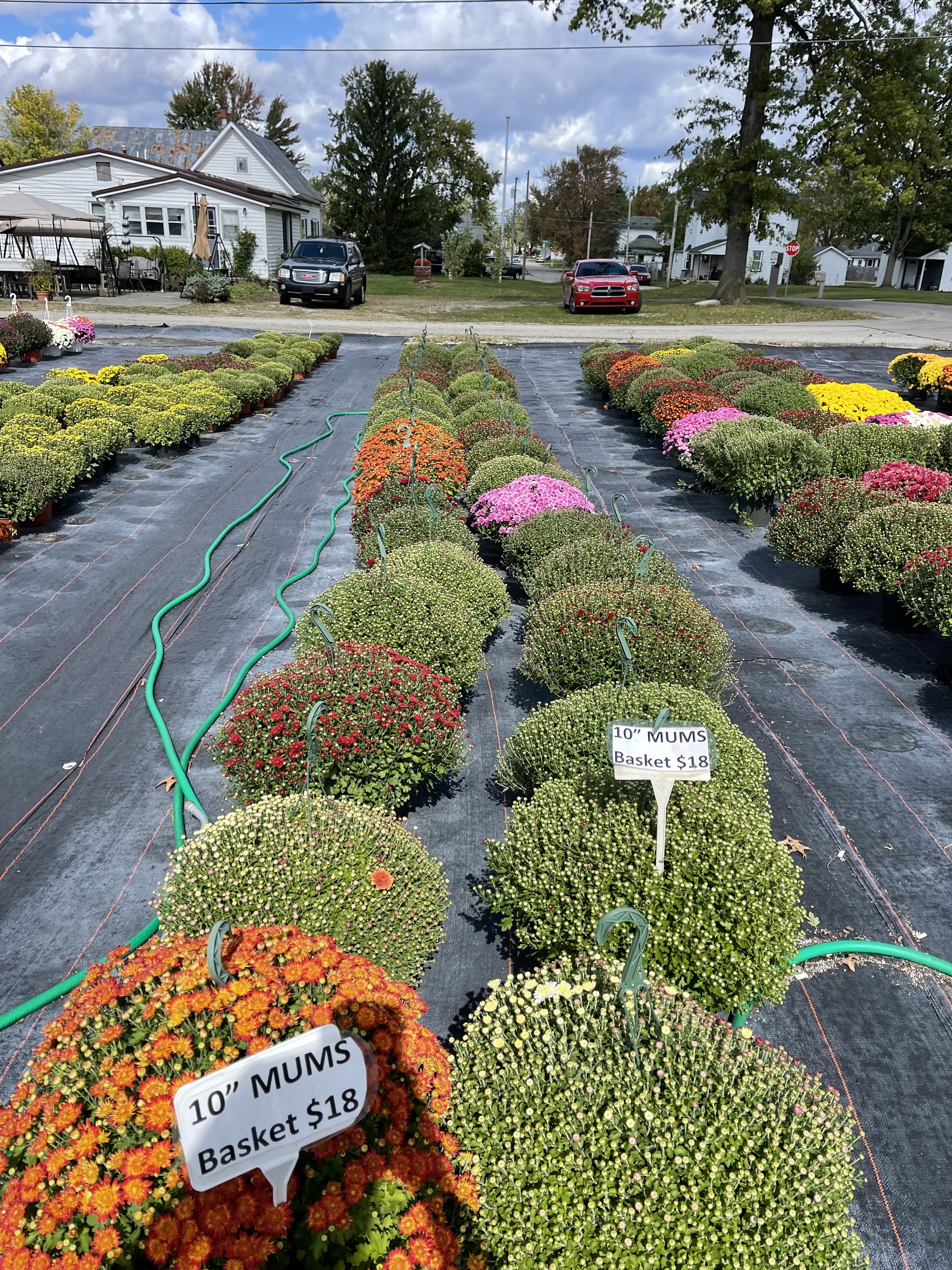 Wagner greenhouse