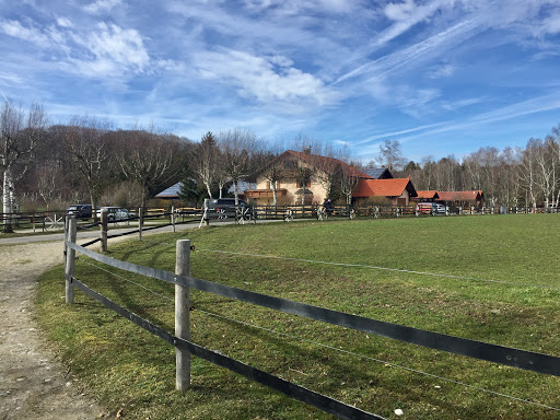 Ponyhof Pflaumdorf - Thumbnail
