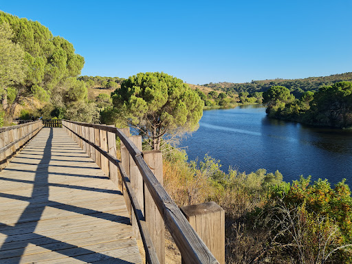 Parque Ecológico do Gameiro - Thumbnail