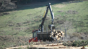 Photo n°3 de Occitarn Bois à Castres (Exploitation forestière)