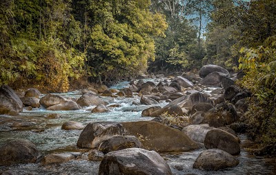 Hutan lipur lata payung