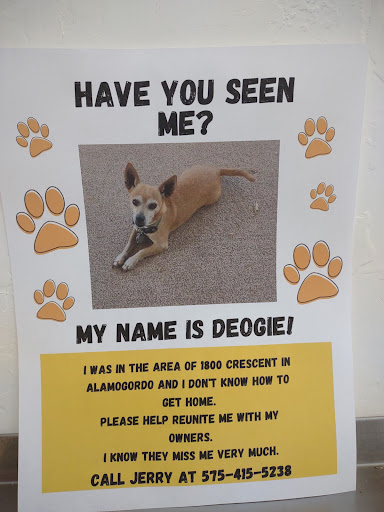 Alamogordo Animal Control - Thumbnail