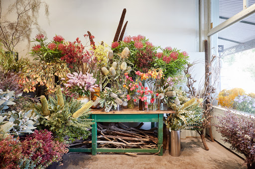 Bush Flowers and Plants Gallery - Australia