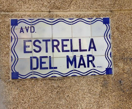 Centro Veterinario Estrella de Mar - Thumbnail
