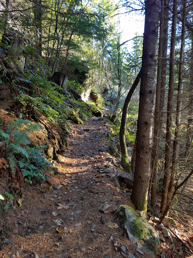 New Teneriffe Trailhead Parking - Thumbnail