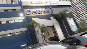 Deltron Group S.A. 4