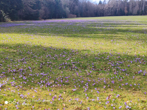 Parkplatz Ruhewald Teinach-Zavelstein - Thumbnail