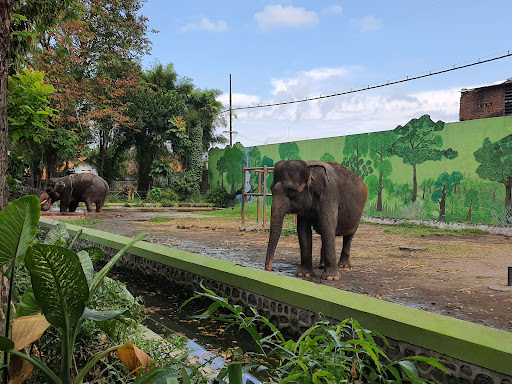 Surabaya Zoo - Thumbnail