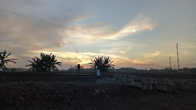 Photos of Brumbung