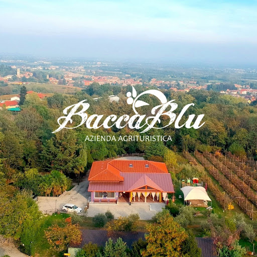 Agriturismo Bacca Blu, Bricherasio