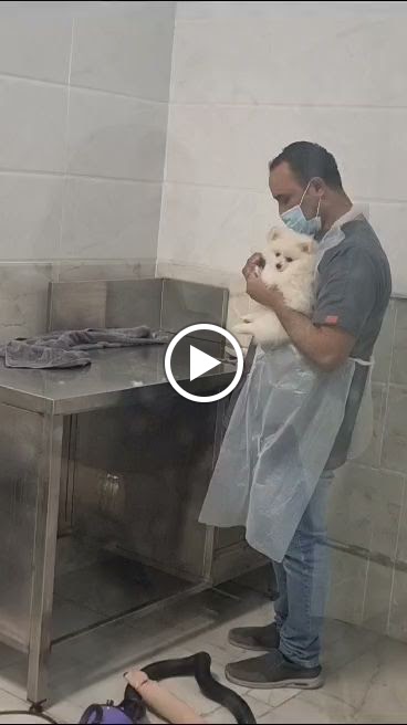 مركز سنابل الأندلس للرعاية البيطرية - صورة 4