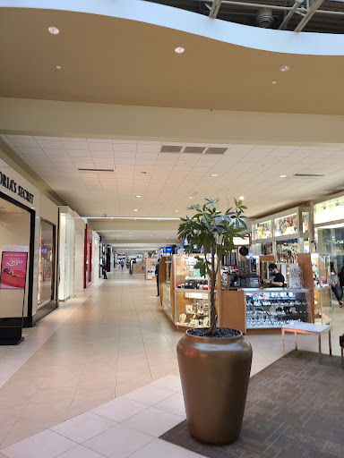 Coral Square - Thumbnail