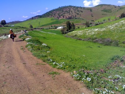 Photos of بئر النصر-bir ennasr
