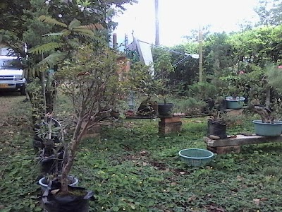 Photos of Agropecuario Las Mercedes