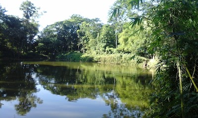 Photos of Shafi Dairy Farm