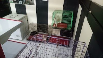 Photos of DOGGY STYLE Pet&Store Pedungan