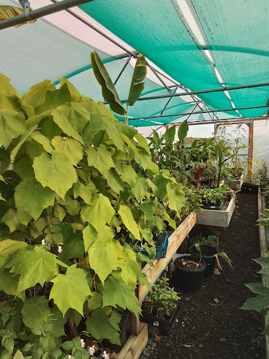 Sunk Island Garden Centre - Thumbnail