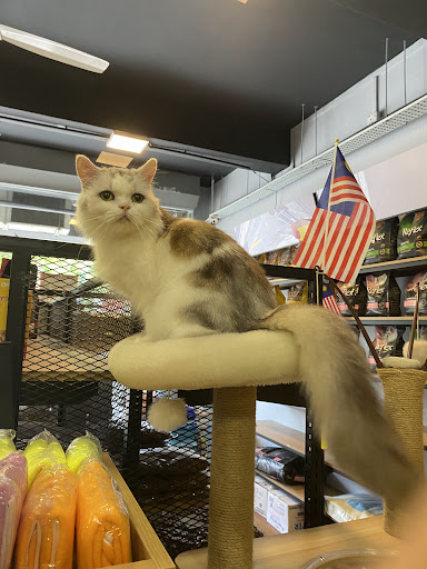 Zoola Ayer Keroh & Hotel For Cats