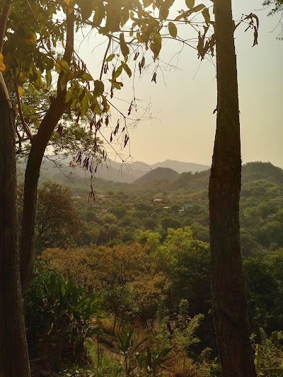 Photos of La Loma Minca