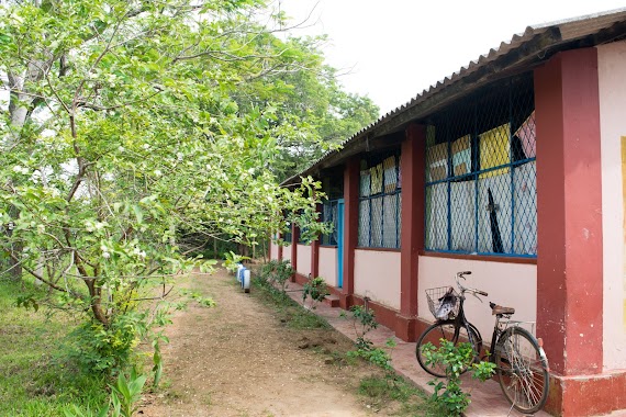 Kahapathvilagama Vidyalaya, Author: Anuradha Piyadasa