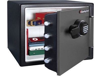 Lockman Security - Visual