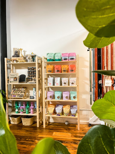 Boho + Bark - Visual