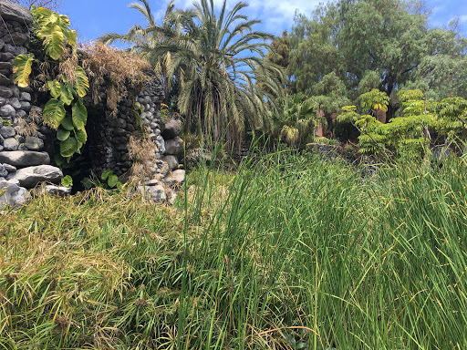 The Best Attractions In Puerto De La Cruz Destimap Destinations On Map