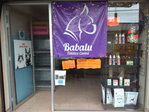 Babalú Animal Healt Center - Thumbnail
