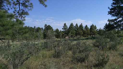 Ponderosa Preserve - United States