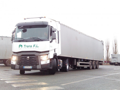Trans FL - Visual