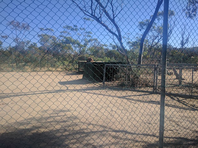 Wave Rock Wildlife Park