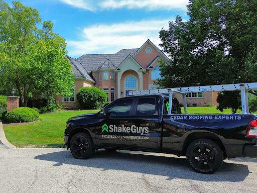 Shake Guys - Visual