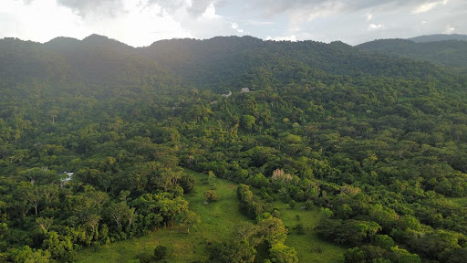 El Ceibo - Visual