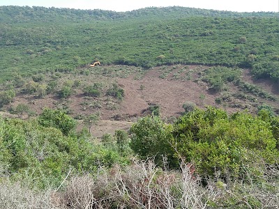 Photos of Plage Oued Elghanam
