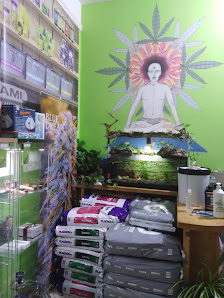 Green Planet Grow-Shop Caserta Via Vincenzo Gemito, 71/73, 81100 Caserta CE, Italia