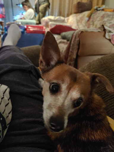 Starr Grooming - Thumbnail