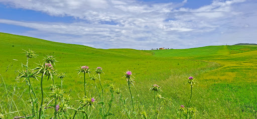 Piazzola di sosta belvedere - Thumbnail