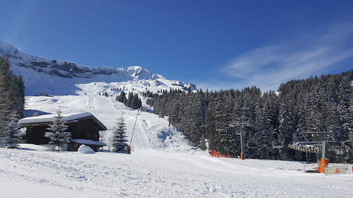 Ski School