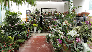 4 Seasons Garden Center 8