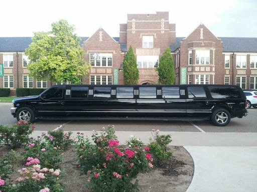 Clovis Limo - Visual