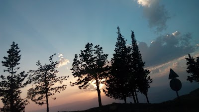 Photos of متنزه زي