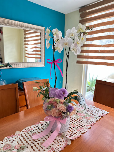 Floristería Ramito de Violetas - Thumbnail