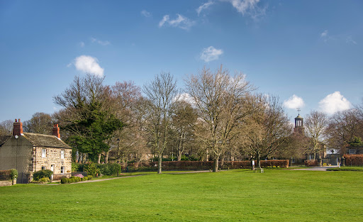 Heath Common - Visual