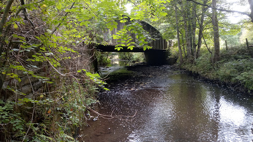 Lanchester Valley Railway Path - Thumbnail