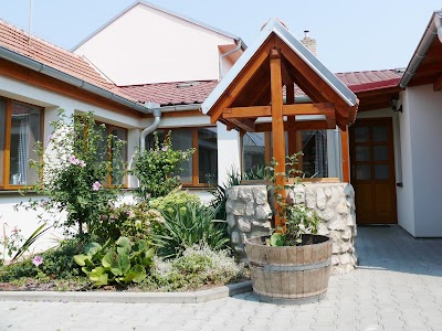 Photos of winery Nosreti