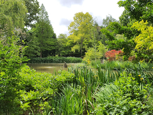 Red Cow Farm Garden - Thumbnail