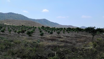 Photos of Boeng Khnar Pagoda