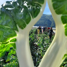 Photo n°5 de Ferme des Saisons à Murianette (Marché fermier)