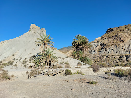 BUGGY ALMERIA - Thumbnail